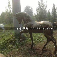 马铜雕，公园动物铜雕