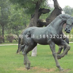 青铜马雕塑公园动物铜雕